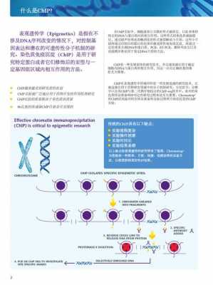 染料沉积法染色（染色质共沉淀法）-图1