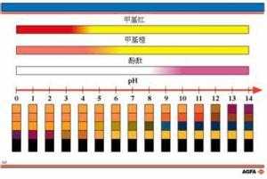 ph对酸性染料的染色影响,酸性染料比色法水相ph过大 -图2