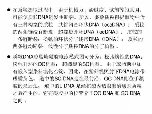 dna容易被酸性染料染色吗_dna在酸性溶液中变性-图3