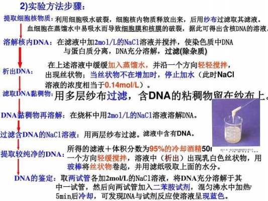 dna容易被酸性染料染色吗_dna在酸性溶液中变性-图1