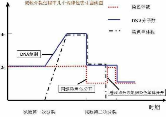 dna容易被酸性染料染色吗_dna在酸性溶液中变性-图2