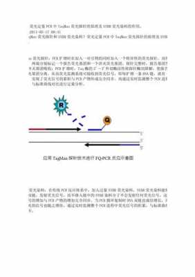 荧光pcr法常用的荧光染料不包括-以下荧光染料可以用于RNA染色的是-图3