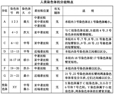 染色体类型有哪些-图1