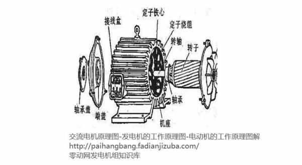 交流异步电机发电 交流异步发电机哪里便宜-图2