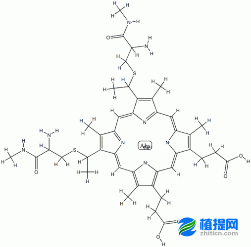 各细胞器染色的染料,细胞器染色剂 -图3