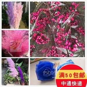  干花染色用碱性染料可以吗「干花染色剂」-图1