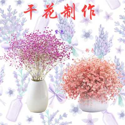  干花染色用碱性染料可以吗「干花染色剂」-图2