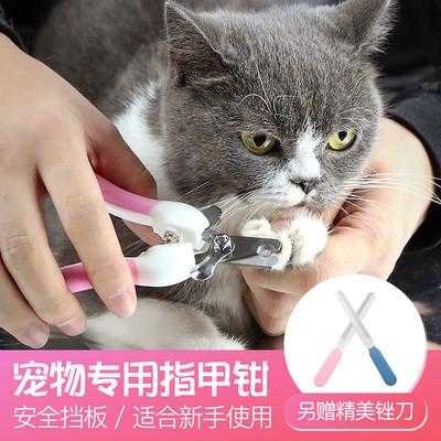 猫抓板指甲盖断了怎么修复_猫抓板折断-图2