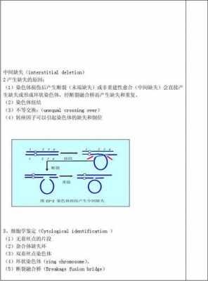 吖啶类染料造成染色体畸变,吖啶类染料诱变机理 -图1