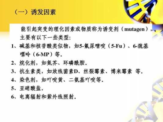 吖啶类染料造成染色体畸变,吖啶类染料诱变机理 -图3