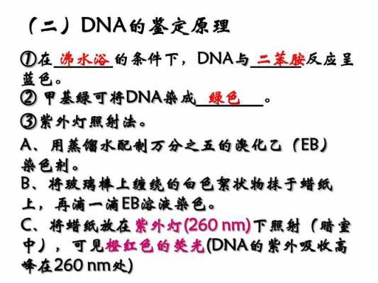 dna在碱性条件下带什么电荷 dna可以被什么碱性染料染色-图2