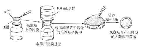 如何进行滤膜过滤染料染色,如何进行滤膜过滤染料染色检测 -图2