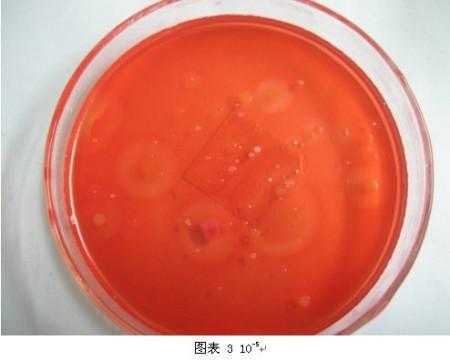 纤维素染色常用染料_纤维素染色 生物学-图2