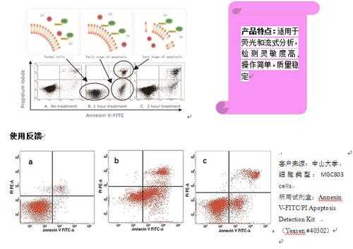 7aad染死细胞原理-图1