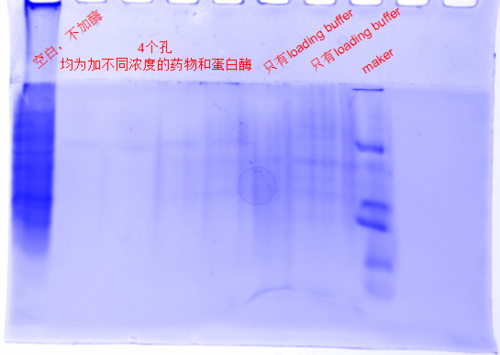 蛋白胶染色用什么染料_蛋白胶染色液有毒吗-图3