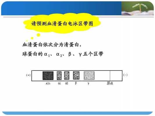 eb染料电泳中染色注意事项（eb染料电泳中染色注意事项是什么）-图1