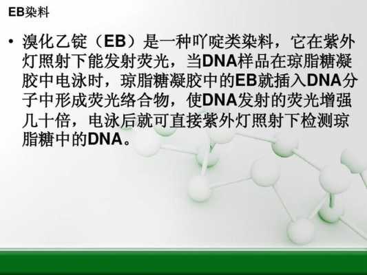 eb染料电泳中染色注意事项（eb染料电泳中染色注意事项是什么）-图3