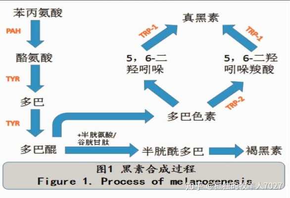  合成染料染色机理图解大全「合成染料的优缺点」-图1