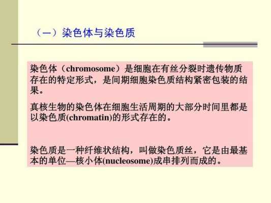 染色质和染色体都易被碱性染料染成深色吗 染色质和染色体碱性染料-图3