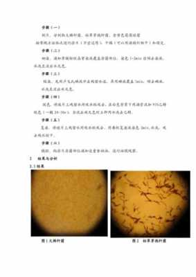  强酸性染料染色视频「强酸性染料的染色实验报告」-图1