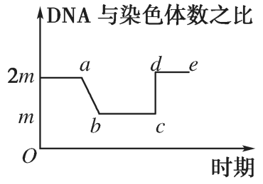 碱性染料染色体6_碱性染料染色体原理-图3