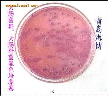 给大肠杆菌染色的染料是什么-给大肠杆菌染色的染料-图1