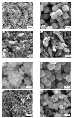 染料染色能拍sem,染色剂对身体有害吗 -图2