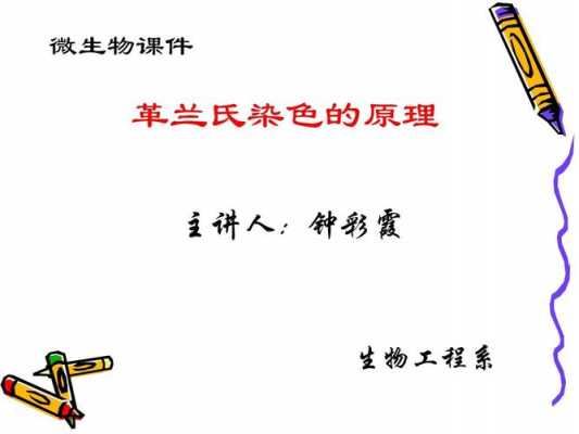 革兰染色原理及应用-革兰染色的染料发展-图2