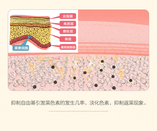 什么是果酸染膏染料染色剂-什么是果酸染膏染料染色-图3