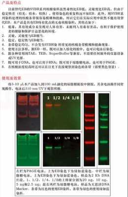 核酸染料可以让rna染色吗-图3