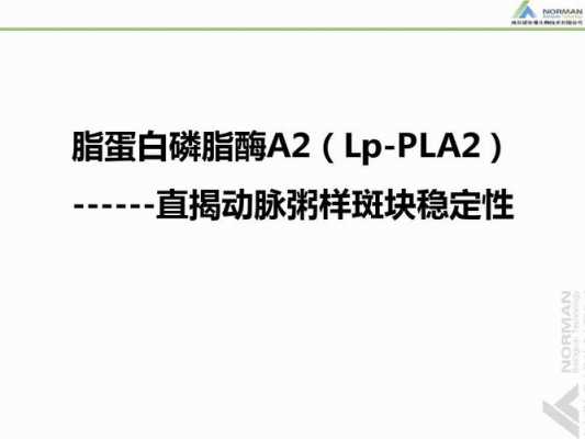 脂蛋白染色的染料（脂蛋白染色的染料是什么）-图3