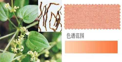 植物染料染色优缺点-植物染料染色技艺设计图-图3