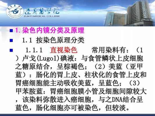 内镜下染色技术的分类及应用 染色内镜最常用的染料为-图1