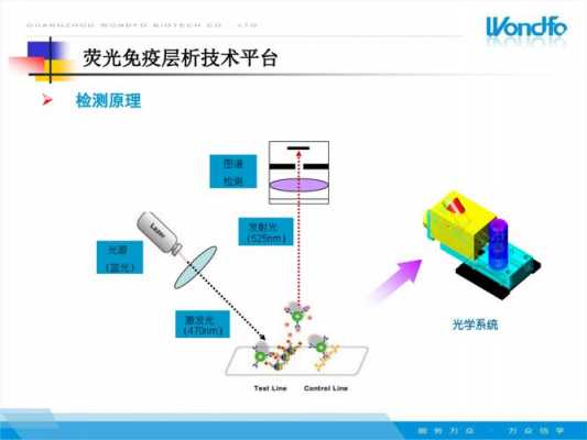 核酸荧光染色技术原理 荧光染料染色核酸原理-图3