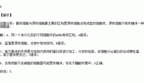 能够染细胞中dna的染料并说明染色机理_利用什么将细胞染色可以显示dna和rna在细胞中的分布-图2