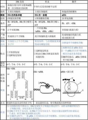  dna用什么碱性染料染色「dna在碱性条件下带什么电荷」-图3