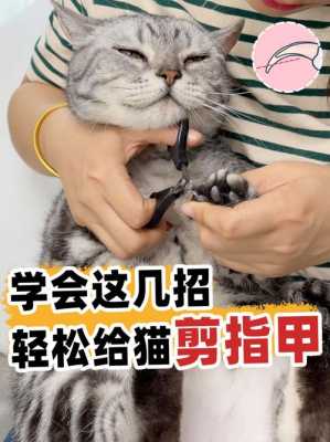 猫咪修复指甲动画视频_猫咪修复指甲动画视频-图3