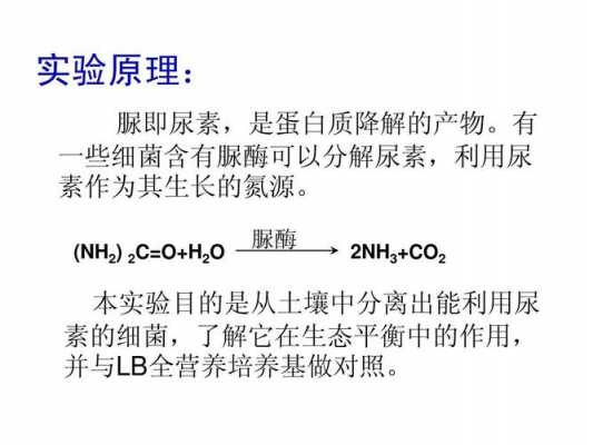  活性染料染色中尿素应用「活性染料加尿素的作用」-图2