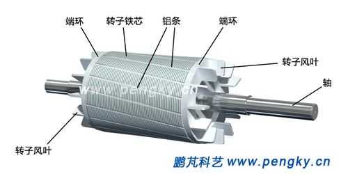  笼型异步发电机系统「笼型异步电动机」-图2