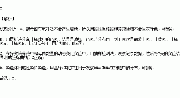 什么是混血染料染色体_混血的定义是什么-图3