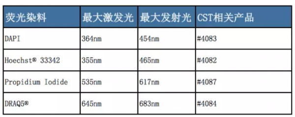 荧光染色技术 荧光染料染色时间-图1