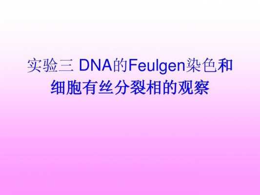 用什么染色dna-图3