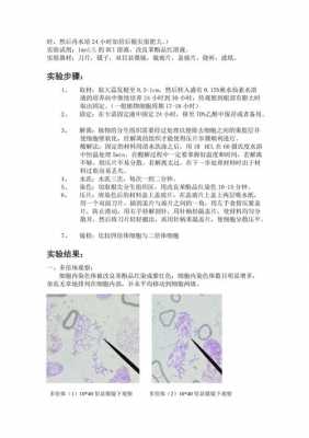 观察染色体用的染料是_观察染色体用的染料是什么颜色-图1