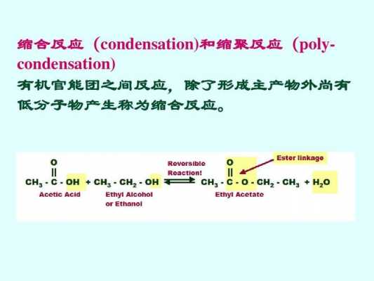 缩合 缩聚-图1