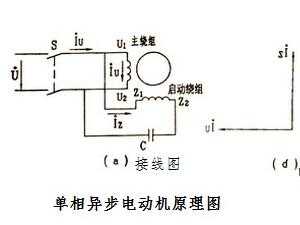  单相异步发电机「单相异步发电机的工作原理」-图2