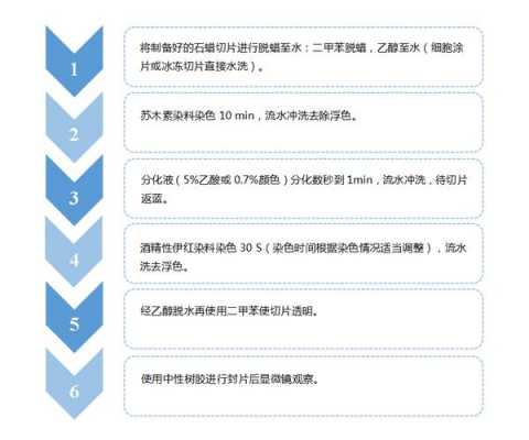 组织he染色后的颜色-组织学最常用染色方法HE染色中使用的染料-图1