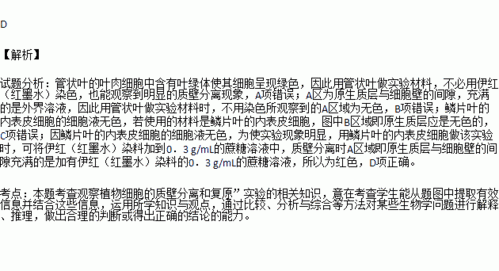 曙红染料染色蛋白质,曙红染料染色蛋白质的原理 -图1