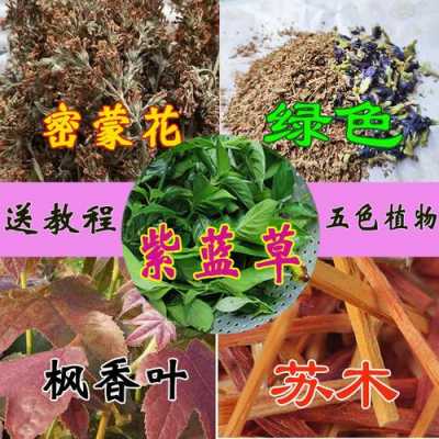 可以染色植物的染料是什么,能染色的植物的名字 -图1