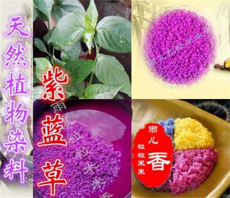 可以染色植物的染料是什么,能染色的植物的名字 -图3