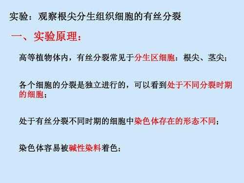 染色体碱性染料有哪些 染色体的碱性染料是什么-图1